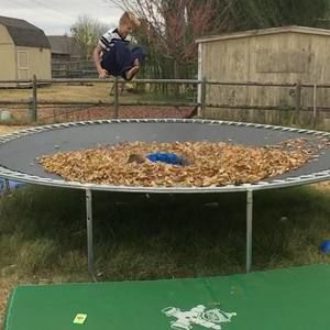 Meet your Posher, Shawn